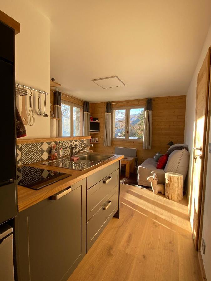 Ferienwohnung La Marmotte Qui Papote Le Grand-Bornand Exterior foto